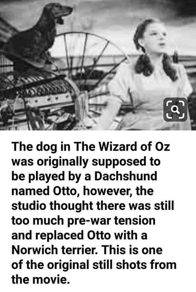 File:Otto in Oz.jpg